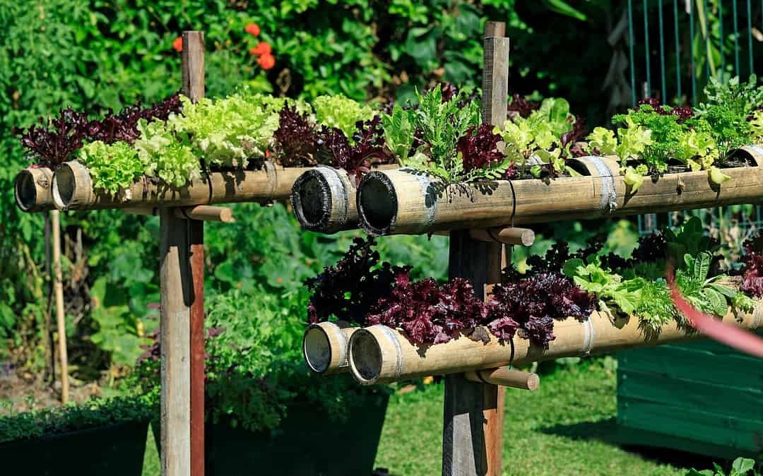 Ein Gemeinschaftsgarten für mehr Naturschutz