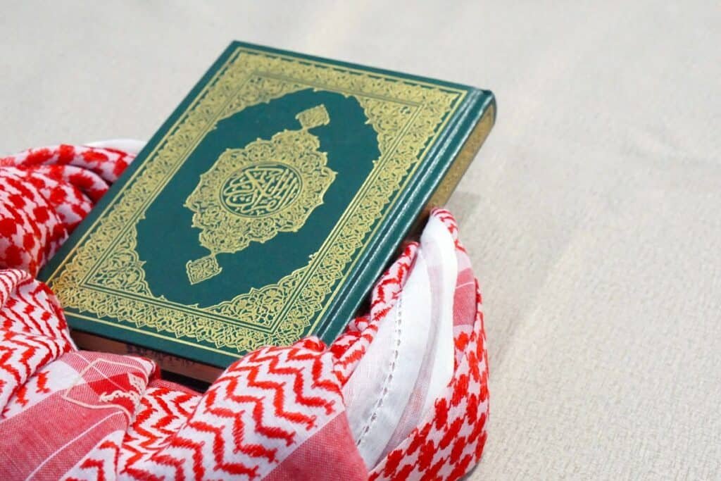 Ein Islamprofessor aus Münster bietet Kurse gegen Islamismus und Radikalisierung an; 160 niederländische Strandlokale bieten Sonnencreme-Shots an; und im Thüringer Wald wurde der erste Luchsnachwuchs seit 200 Jahren entdeckt: Unsere neue Ausgabe ist da