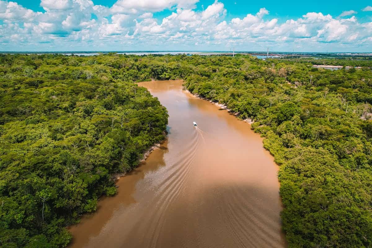 Regenwald in Peru