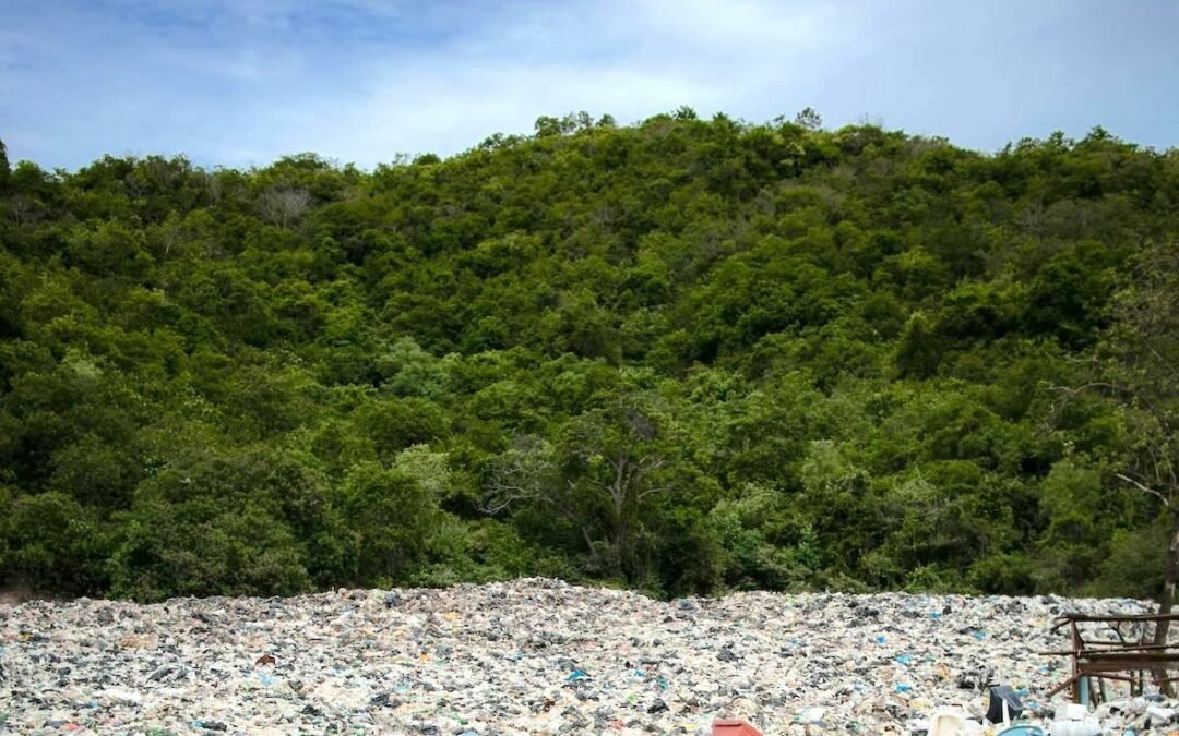 Thailand verbietet Plastikmüll-Importe, Lübeck pflanzt Wald mit Drohnen