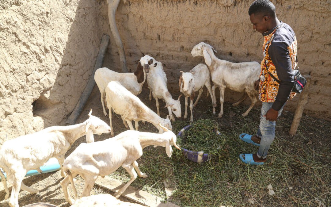 Wie Jugendliche wie Hama in Mali neue Perspektiven finden
