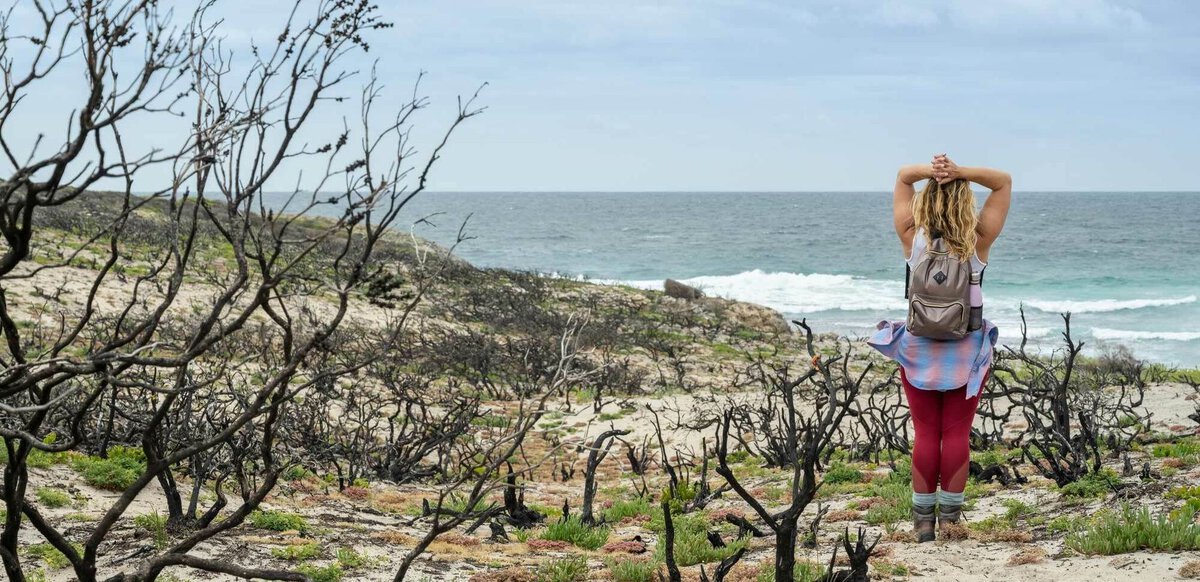 Kangaroo Island erholt sich von den Buschbränden.