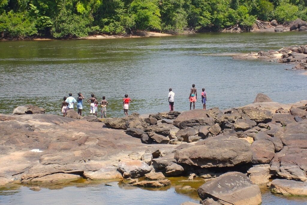 Amazonas in Suriname