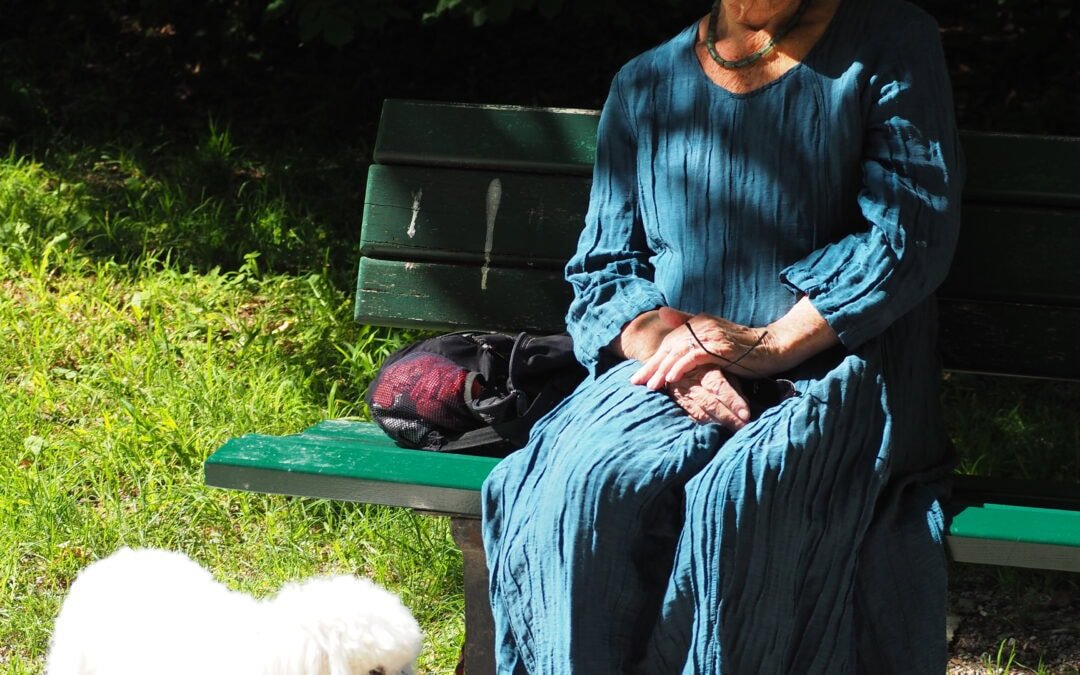 Mein Hund – ein Spiegel: Wie viel von uns steckt in unseren Haustieren?