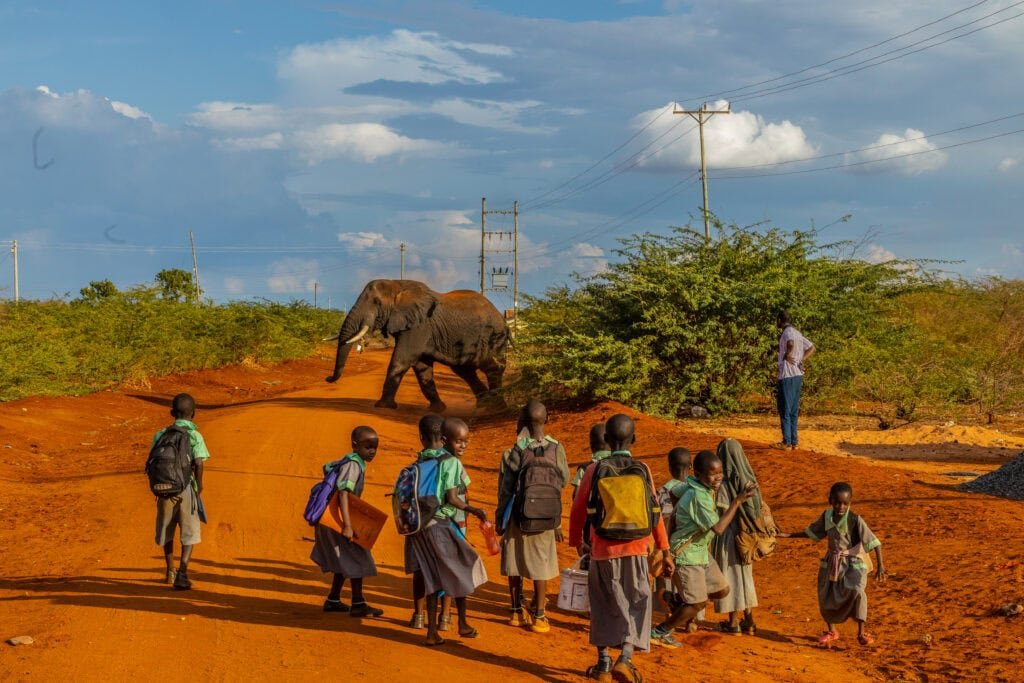 School children stop for an elephant to cross the road in Lake Jipe southern Kenya © Anthony Ochieng Save the Elephants STE Day Two 95