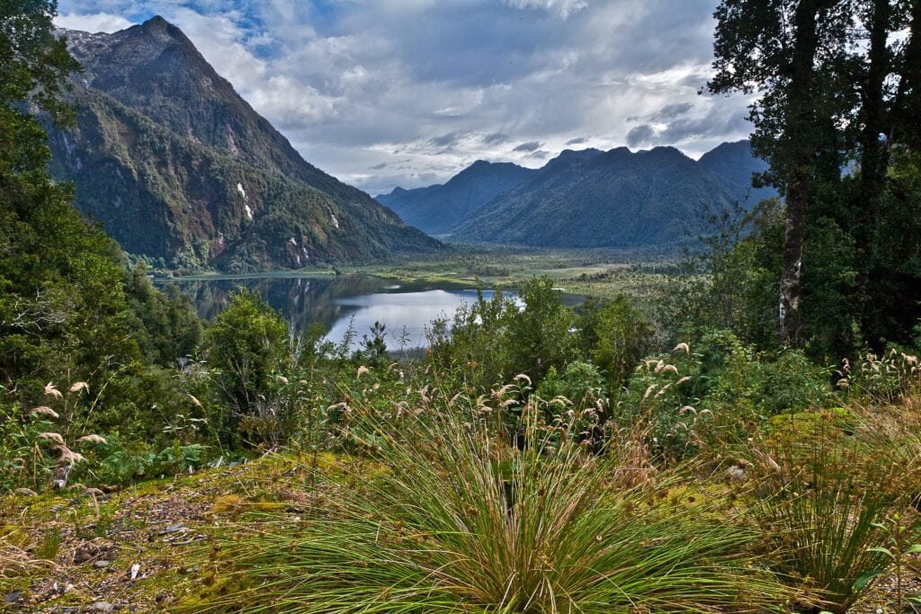 pumalin landscape waidhofer 0006
