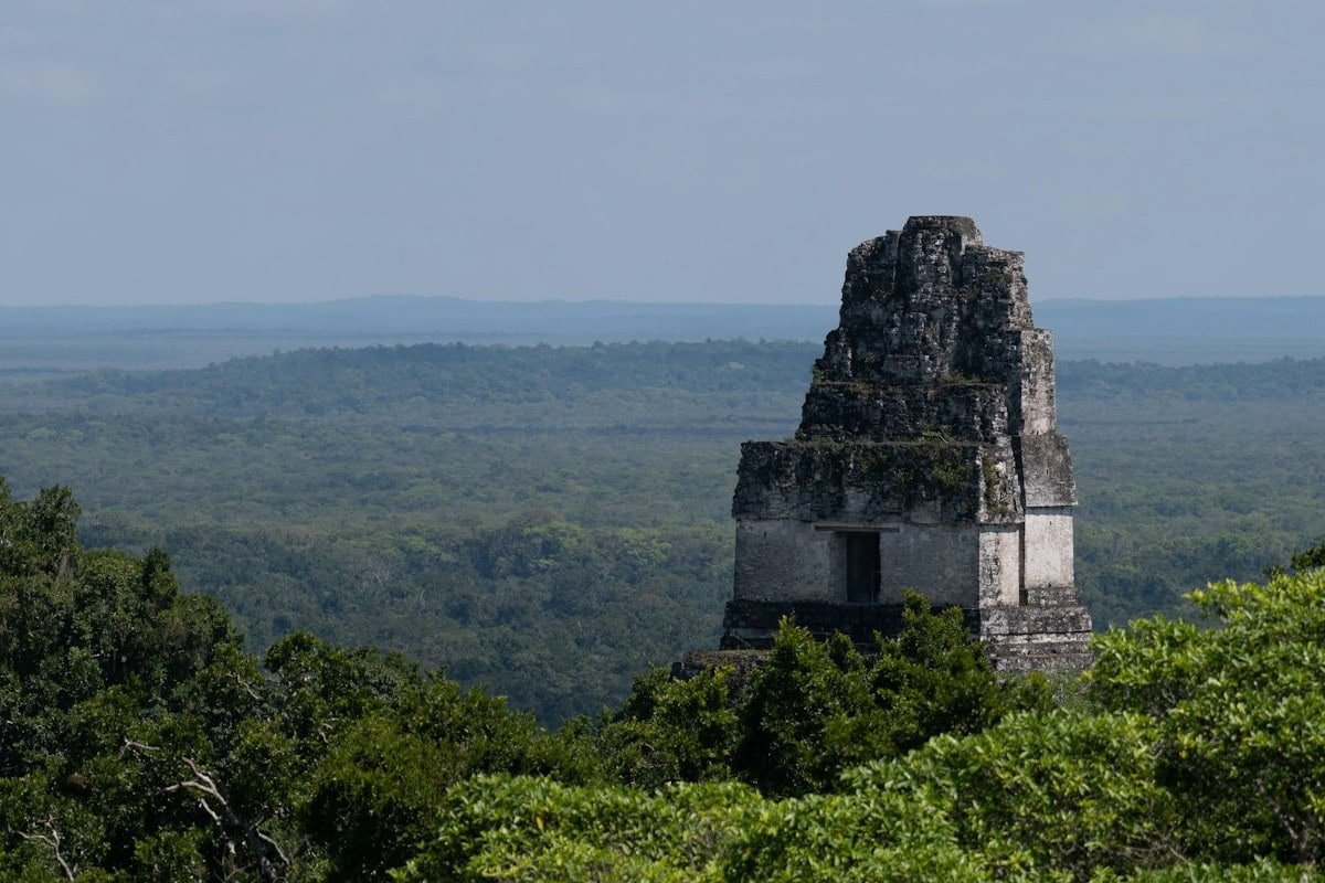 Guatemala Regenwald