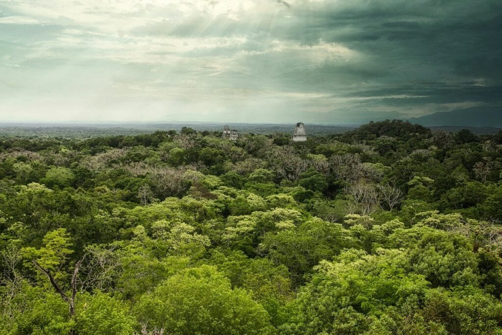 Regenwald Guatemale