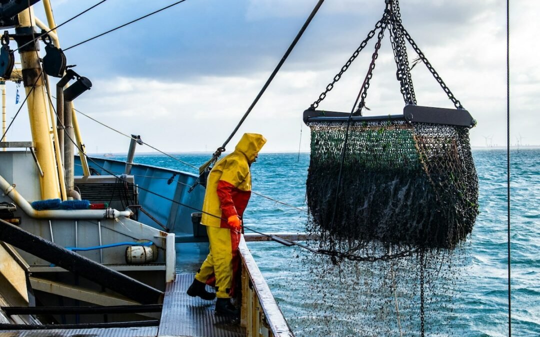 Abkommen für nachhaltige Fischerei, Ozonloch so klein wie nie