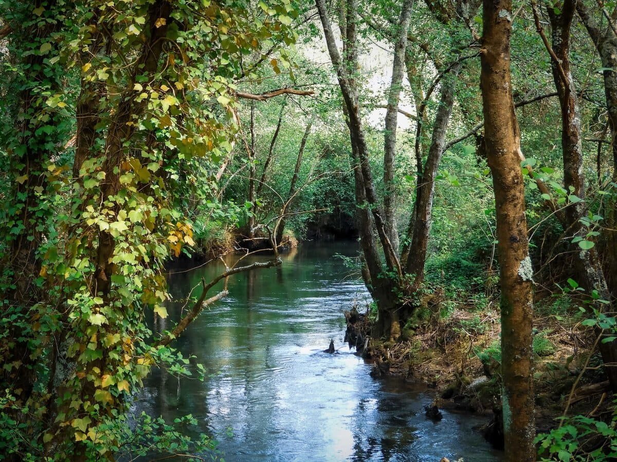Gute Nachrichten aus Brasilien: Die Zerstörung des Amazonas-Regenwaldes geht deutlich zurück – und erreicht den niedrigsten Stand seit 2014.