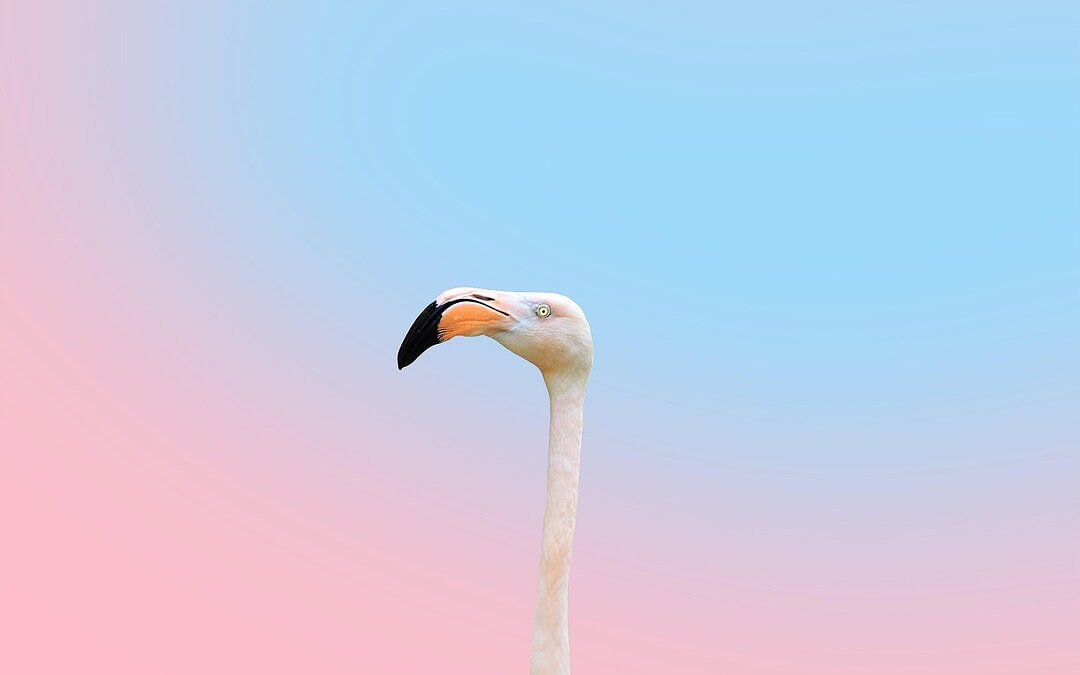 Schönheitsideale im digitalen Zeitalter: Neue Studie zeigt wie Social Media unser Selbstbild prägt