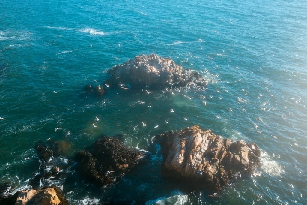 Chile coast