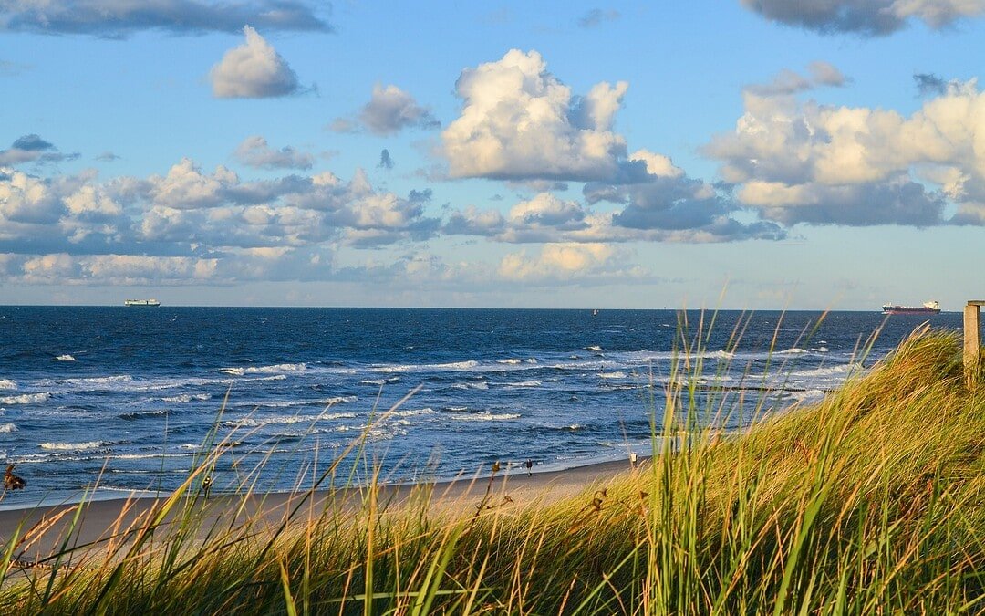 Verschmutzung in Nord- und Ostsee geht zurück?