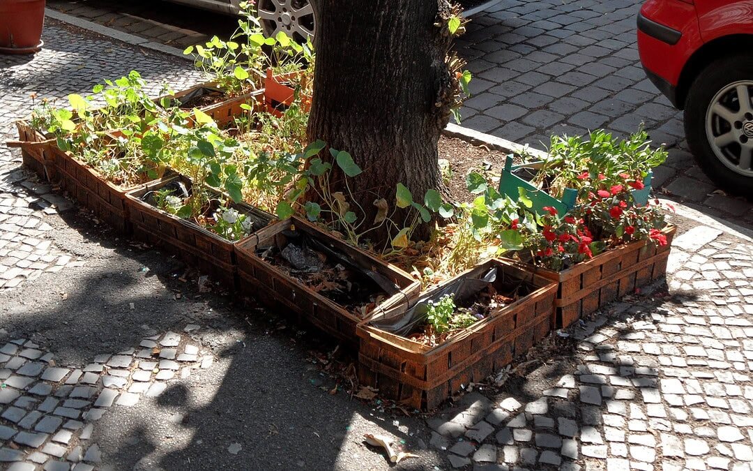 5 Initiativen, die zeigen, wie Stadtbegrünung gelingt