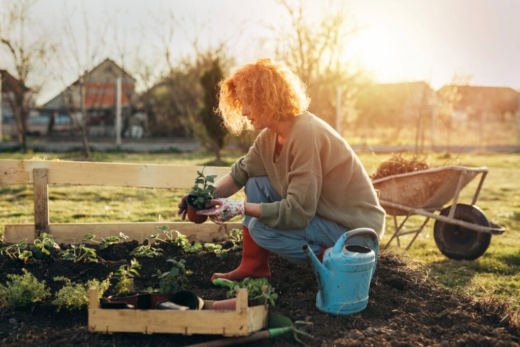 Gartenarbeit als Therapie