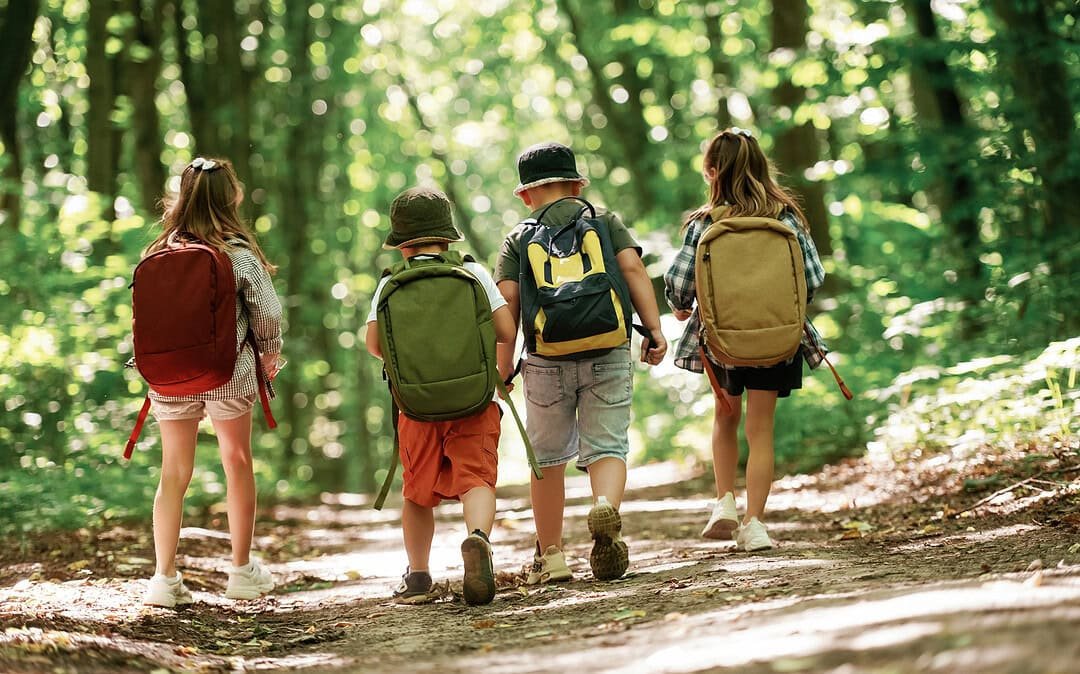 Raus ins Grün: Wie Waldkindergärten boomen