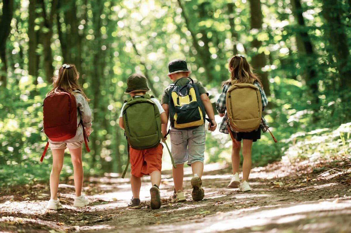 Während viele über Bildungskrisen sprechen, wächst leise ein anderer Trend: Kinder spielen im Wald – und Studien zeigen mehr Bewegung, mehr Kreativität und messbare Gesundheitseffekte. In Deutschland gibt es inzwischen über 3.000 Waldkindergärten und Finnland investiert Millionen.