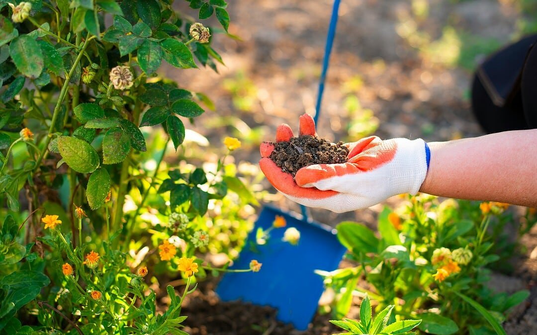 Wie Gartenarbeit der Seele guttut