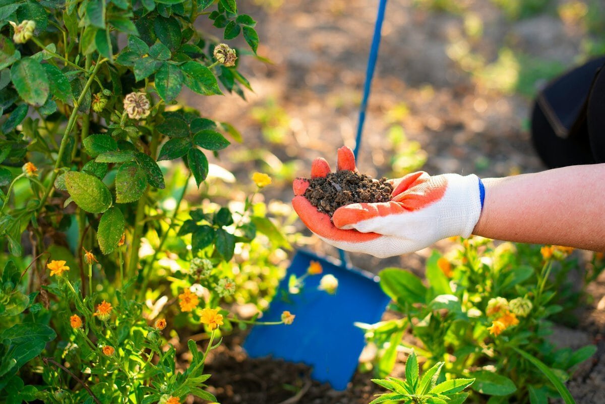 Eine Hand mit Gartenhandschuh, die einen Haufen Erde hält , Pflanzen im Hintergrund