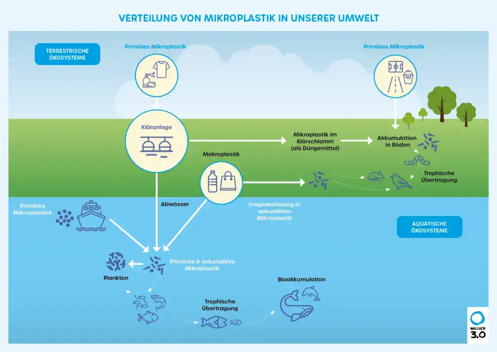 Verteilung von Mikroplastik in unserer Umwelt. 